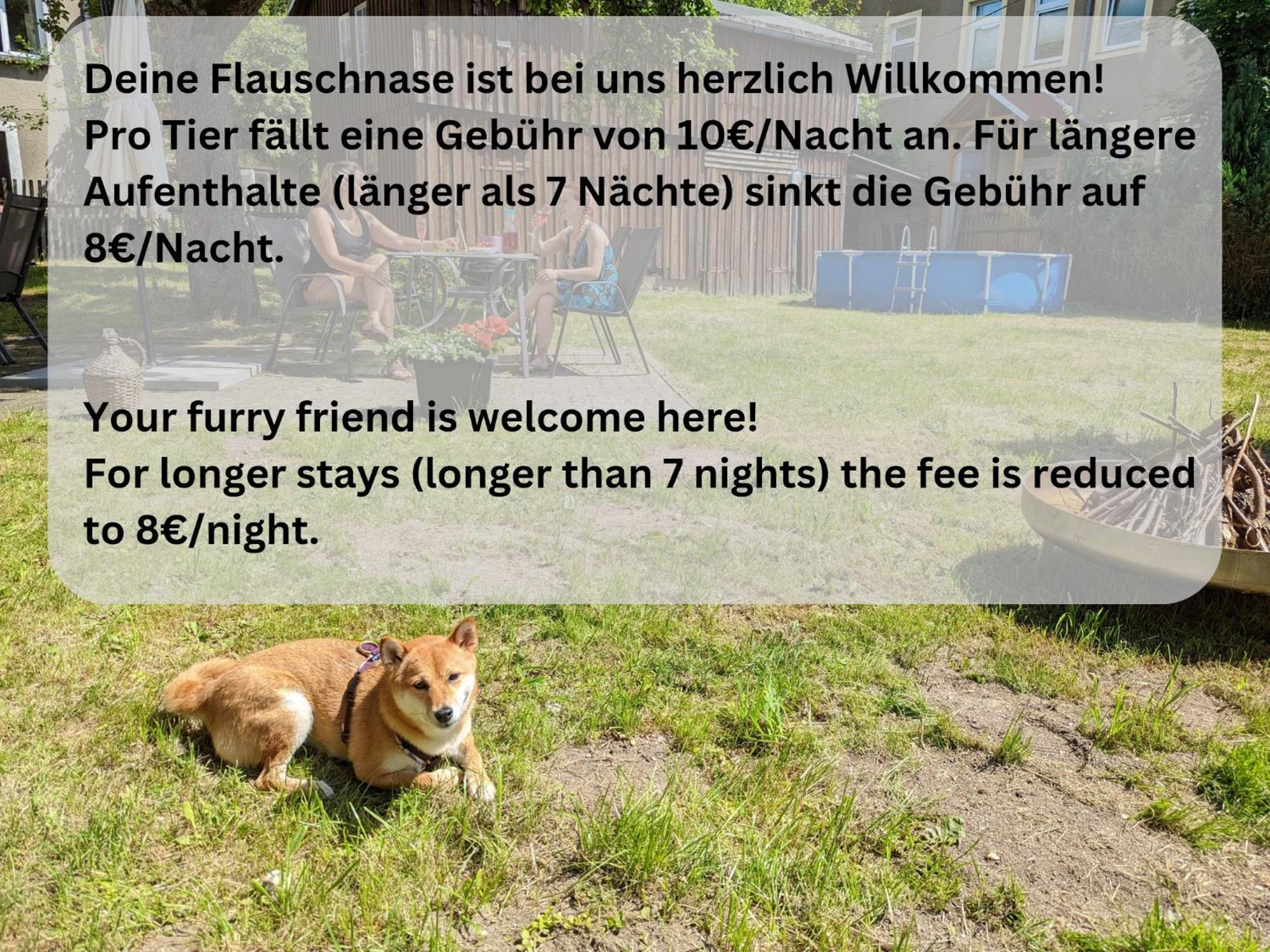 H5 - Urlaubsmagie - Wohlfuehloase Mit Pool Apartment Sebnitz Luaran gambar